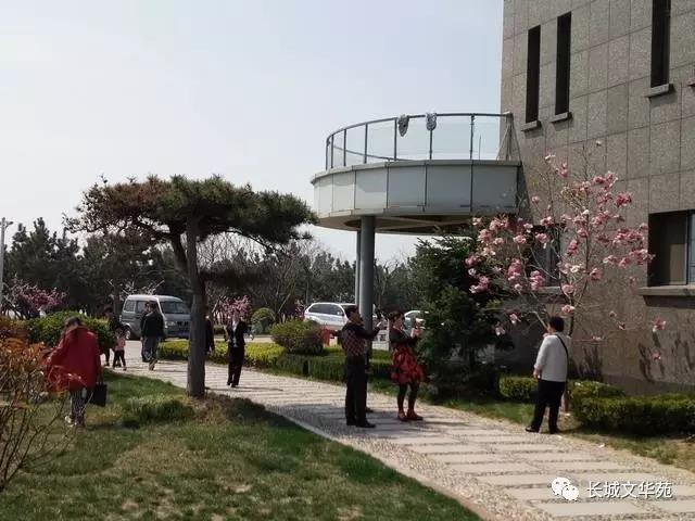 又是一年春來到，長城文華花苑邀您賞春洗肺(圖6)