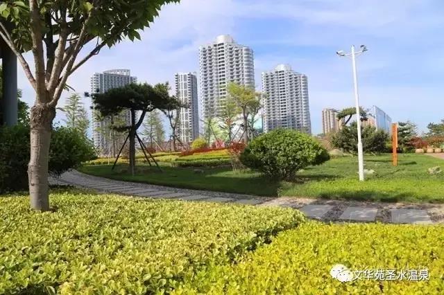 與其送她999朵玫瑰，不如帶她來銀灘來乳山一次！(圖2)